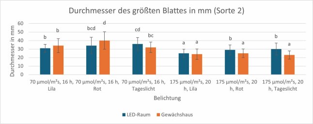 Säulendiagrammen mit Blattgröße in Millimeter von zwei Belichtungsstrategien dargestellt.