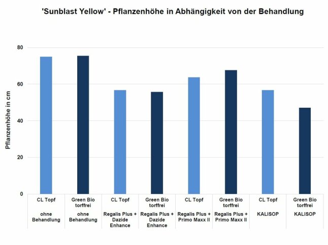 Säulendiagramm mit der Pflanzenhöhe in Abhängigkeit von der Behandlung