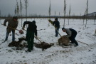 Baumpflanzaktion im Stutel - eine große Aufgabe für unser Team