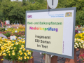 Hintergrund Blick auf das bunt blühende Versuchsfeld, davor ein Schild