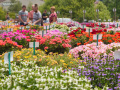 Blick auf das bunt blühende Versuchsfeld mit Besuchern im Hintergrund