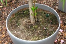 Bewässerungssystem Blumat (2)