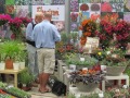 Zwei Fachbesucher mit zahlreichen verschiedenen Blumen umgeben, Hintergrund Blumenplakat