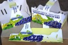 Tafeltrauben; Thurgau machts vor: Kaufanreiz durch ansprechende Verpackung