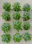 Zwölf bepflanzte Myosotis-Töpfe mit blauer Blüte stehen auf dem Boden in vier Mal drei Reihen aufgestellt