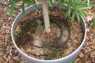 Bewässerungssystem Gardena (3)