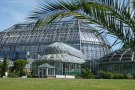 Der Botanische Garten Berlin Dahlem ist ein Fundus auf der Suche nach geeigneten Bäumen