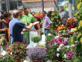 Besucher im Gespräch am Infostand eines Herstellers mit blühenden Pflanzen im Vordergrund.