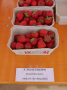 In einer Schale mit den Erdbeeren und davor steht ein Etikett mit dem Sortenname Elsanta
