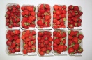 Zehn Schale mit Erdbeere, fünf oben und fünf unten aufgereiht zur Sortenvergleich