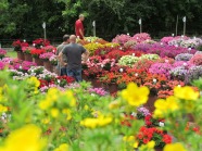 Drei Fachbesucher begutachten verschiedene Blumen auf dem Feld