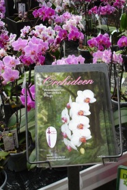 Prospekt über Orchideen vor Orchideenpflanze