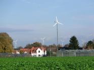 Gartenbaubetrieb mit Feld, Haus und Gewächshaus, Hintergrund Windenergieanlagen und Bäume