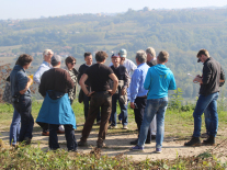 Die Teilnehmer der Exkursion auf einem Feld im Gespräch