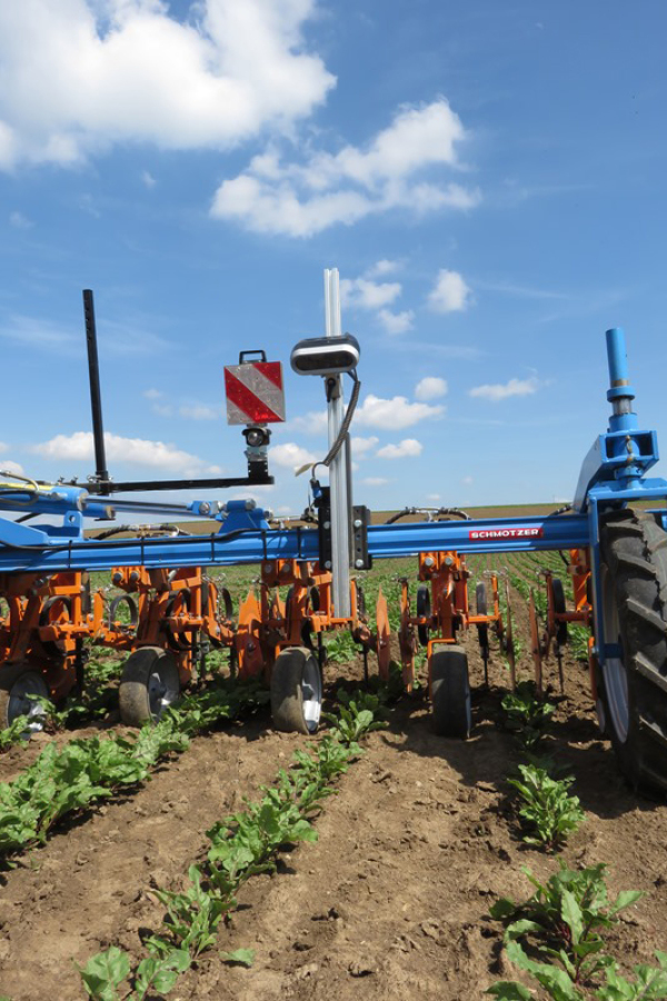 bayerische landesanstalt fur weinbau und gartenbau