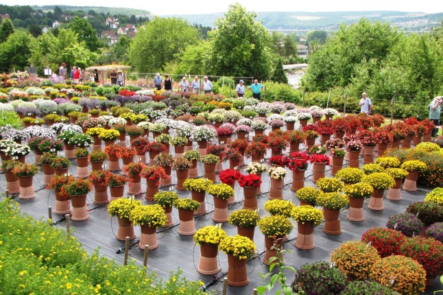 B&B Versuchsfeld am Tag der offenen Tür 2014