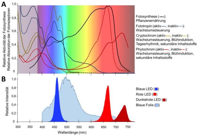 Zwei Diagramme, die das Absorptionsspektrum der Farbpigmente, die Aktivät der Photosythese und die Lichtemmision von LEDs darstellen.