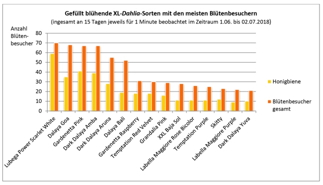 Eine Tabelle in der die Anzahl der Blütenbesucher auf der jeweiligen Dahlia-Sorte abzulesen ist.