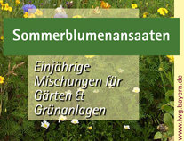 Merkblatt Sommerblumenansaaten Mischungen für Gärten und Grünanlagen.