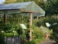 Auf zwei Holzpflocken ist ein Holzrahmen, der mit einer Folie bespannt ist. Darunter wachsen Tomaten im Schaugarten.