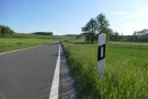 Entlang einer wenig befahrenen Gemeindestraße ist eine Begleitfläche einer Straße mit einem grasreichen Aufwuchs zu sehen. 