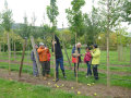 Besuch des "Zukunftswald's" der LWG im Thüngersheimer Versuchsbetrieb für Obstbau und Baumschule.