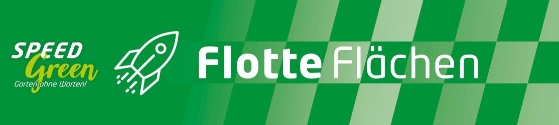 LGS Freyung - Logo - Flotte Flächen - Header