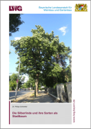 FA 22 - Deckblatt - Die Silberlinde und ihre Sorten als Stadtbaum