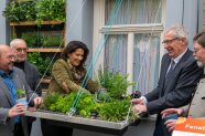 Michaela Kaniber, Gerhard Zäh, LWG-Präsident Andreas Maier, Hermann Berchtenbreiter und Wolfram Vaitl bepflanzen zusammen den Fenstergarten.