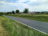 Zu sehen ist eine Landstraße und im Hintergrund ein Dorf. Das Straßenbegleitgrün ist hochgewachsen und es lassen sich vereinzelt Blütenpflanzen entdecken.