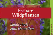 Titelseite Merkblatt Essbare Wildpflanzen mit blühendem mit Salbei und rosa leuchtender Blüte der Lichtnelke.