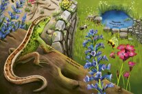 Illustration einer Eidechse auf einem umgestürzten Baumstamm, im Hintergrund ein Teich. 