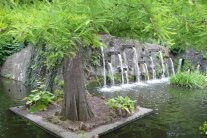 Mehrere Wasserspeier in einer Wand fließen in ein bepflanztes Wasserbecken, in dem sich auch ein Bauminsel befindet. 