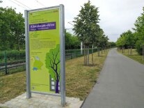 Zu sehen ist die Klimaallee in Würzburg. 