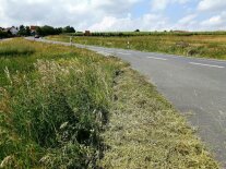 Wiesenbestand am Straßenrand teilweise gemäht