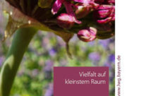 Titelseite mit Allium-Blüte