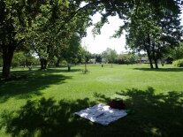 Zu sehen ist das Gelände des Freibad Pfaffenhofen mit den frischgepflanzten Jungbäumen.