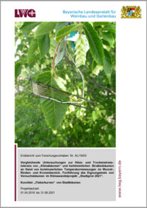 Titelbild des Abschlussberichtes Stadtgrün 2021 - Fieberkurven von Stadtbäumen