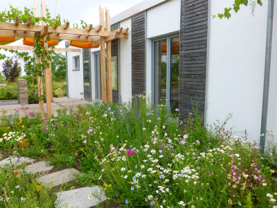 Blumenwiese mit Schafgarbe, Malven- und Nelkenarten vor Wohnhaus.