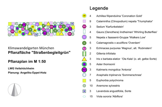 Pflanzplan der Pflanzfläche "Straßenbegleitgrün" im Klimawandel-Garten München. Verwendete Pflanzen: 4 Achillea filipendulina 'Coronation Gold', 9 Calamintha (Clinopodium) nepeta 'Triumphator', 3 Sedum 'Karfunkelstein', 4 Gaura (Oenothera) lindheimeri 'Whirling Butterflies', 5 Nepeta x faassenii-Gruppe 'Walkers Low', 5 Calamagrostis x acutiflora 'Overdam', 3 Echinacea purpurea ‘Magnus', alt. ‘Rubinstern', 2 Gillenia trifoliata, 3 Iris x barbata-elatior 'Ola Kala' (o. alt. gelbe Sorte), 5 Aster thomsonii, 3 Kalimeris mongolica 'Antonia', 7 Anaphalis triplinervis 'Sommerschnee', 5 Euphorbia polychroma, 10 Anemone sylvestris, 3 Lavandula angustifolia, Sorte, 15 Viola sororia 'Albiflora'