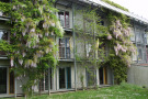 Schulwohnheim der LWG Veitshöchheim mit Schlingpflanzenbegrünung (Wisteria sinensis) an den vorgehängten Balkonkonstruktion aus Stahl.