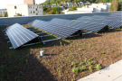 Solarzellen auf einem begrünten Dach.