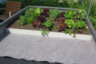 Gemüseanbau auf dem Dachmodell