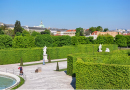 Feld-Ahorn-Hecken im Belvedere-Garten (Wien)