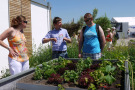 Gemüseanbau auf dem Dachmodell, Florian Demling im Gespräch mit interessierten Besuchern
