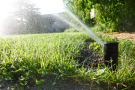 Wasserstrahl aus einem Getrieberegner bewässert Rasenfläche.