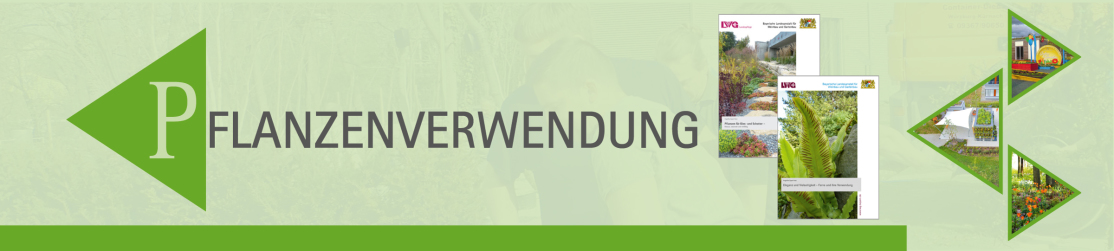 Header Pflanzenverwendung