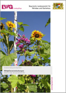 Energie aus Wildpflanzen Auge und Silo Titelseite mit Sonnenblumen