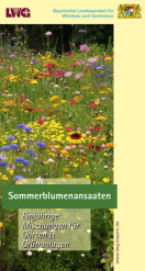 Merkblatt Sommerblumenansaaten