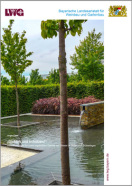 Voraussetzungen für einen ungetrübten Genuss von Wasser in Gärten und Grünanlagen - Titelseite